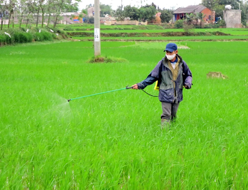 thuốc trừ sâu là gì