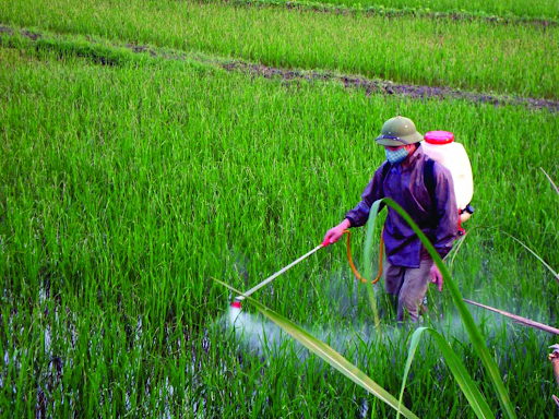 thuốc trừ sâu là gì