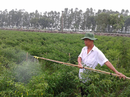         thuốc trừ sâu thảo mộc