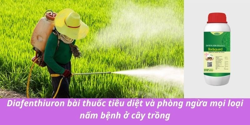 Diafenthiuron bài thuốc tiêu diệt và phòng ngừa mọi loại nấm bệnh ở cây trồng