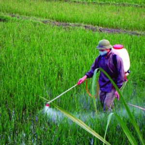 dung-thuoc-diet-co-luu-dan