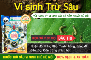 Phun thuốc sâu sinh học bao lâu thì an được?