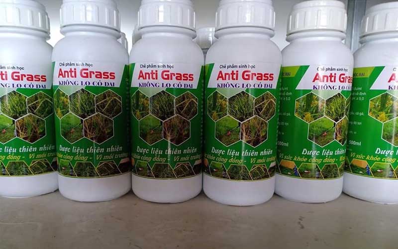 thuoc-diet-co-gau-Anti-Grass