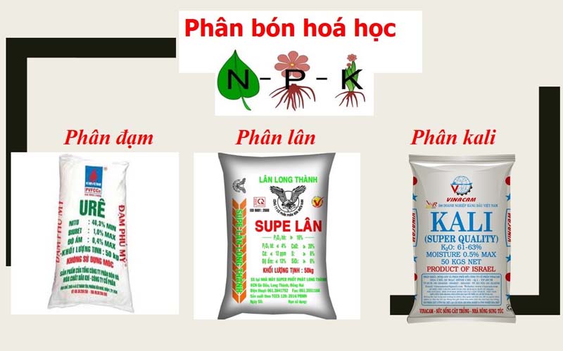 phan-lan-phan-kali-phan-npk-thuoc-nhom-gi