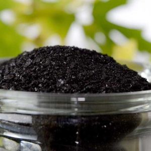 phan-Humic-la-gi