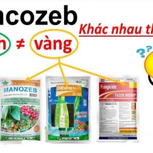 phan-biet-mancozeb-vang-va-xanh