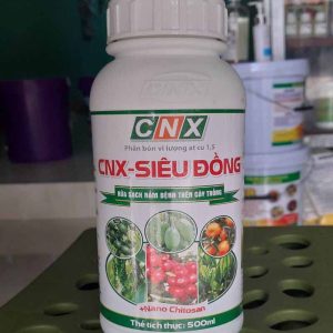 ket-hop-Vaccin-CNX-sieu-dong