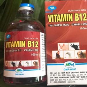 vitamin-b12-doi-voi-cay-trong