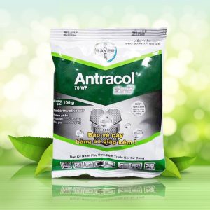 Antracol-70WP